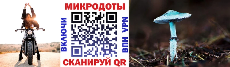 Псилоцибиновые грибы прущие грибы  дарнет шоп  Правдинск 