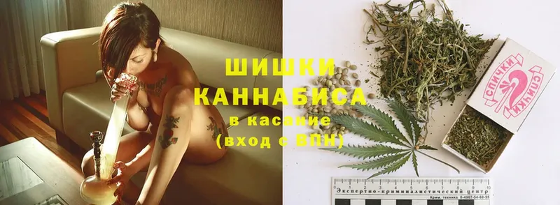 купить закладку  omg ССЫЛКА  Шишки марихуана планчик  Правдинск 